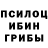 Псилоцибиновые грибы Magic Shrooms Augusto martinez