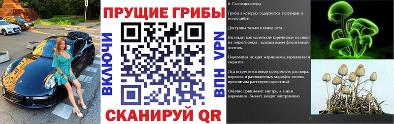 Псилоцибиновые грибы мицелий  маркетплейс какой сайт  Балахна  KRAKEN рабочий сайт 